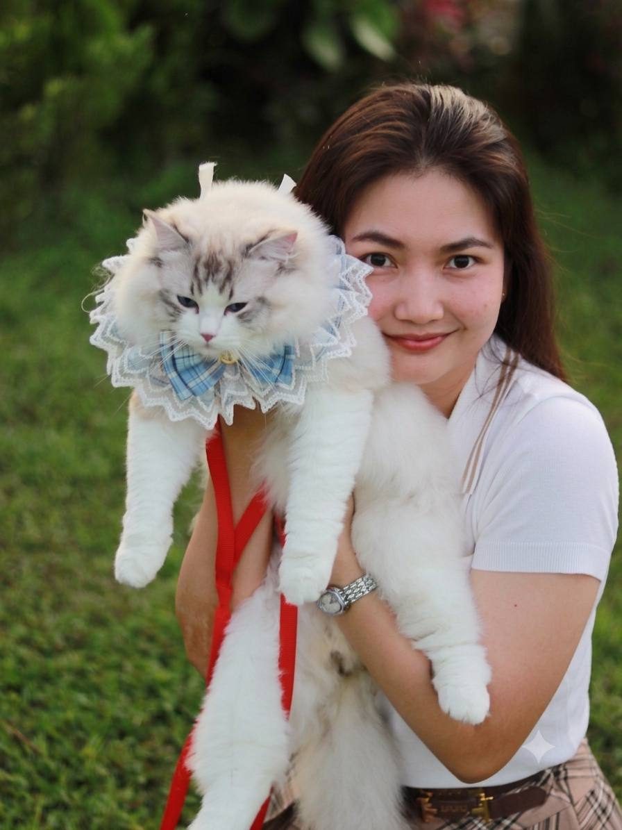 主人与爱猫在 The Twin Tower 相伴